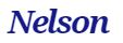 The Nelson Company Logo